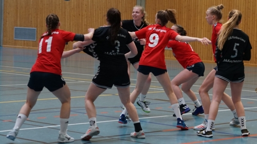 Jsg Fürther Land Handball